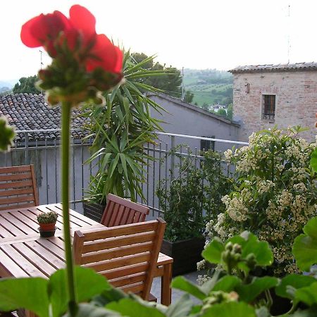 Cappone B&B Morciano di Romagna Eksteriør billede