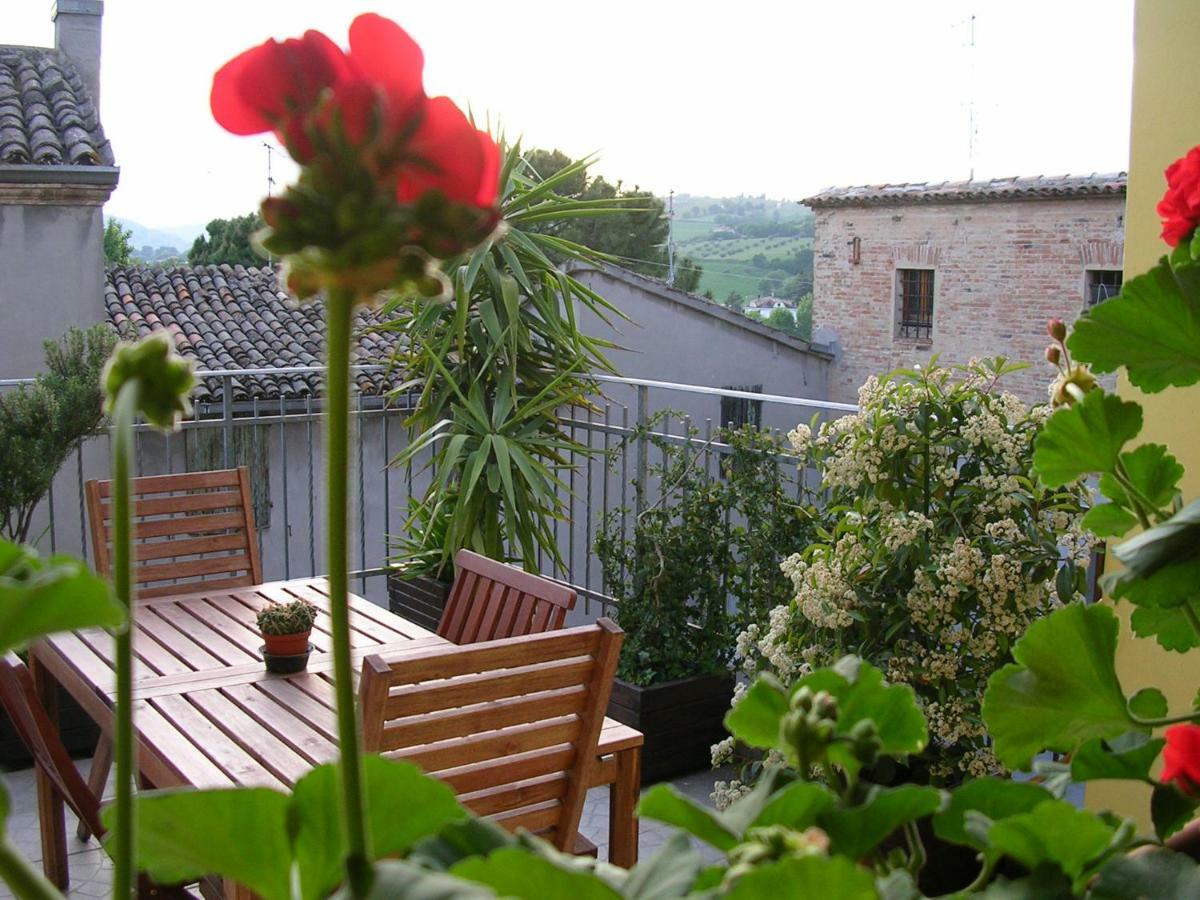 Cappone B&B Morciano di Romagna Eksteriør billede